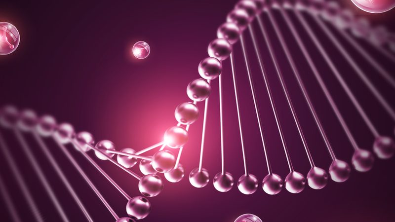 DNA试剂储存缓冲液配方：揭秘其背后的科学奥秘