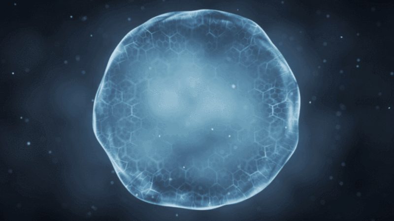 细胞培养基过期对实验结果的影响