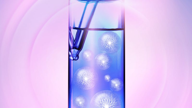 宠物PCR检测怎么做：原理、流程与注意事项