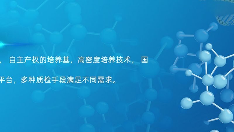 酶促反应操作规范：确保实验结果的准确与可靠**