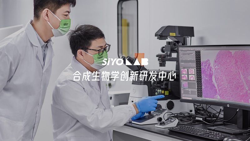 在构建报价清单时，需要关注以下选择标准：