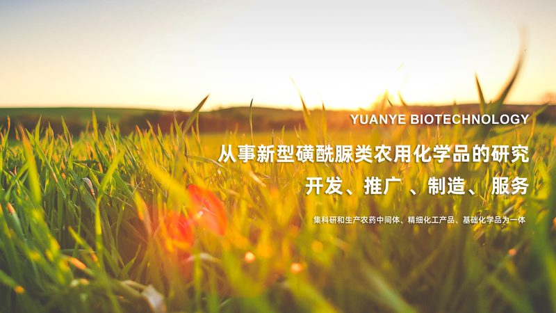 PCR试剂盒：了解其原理及选购要点**