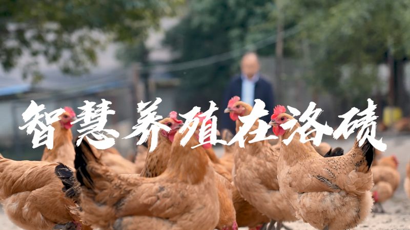 CHO细胞悬浮培养：工艺流程与质量控制**